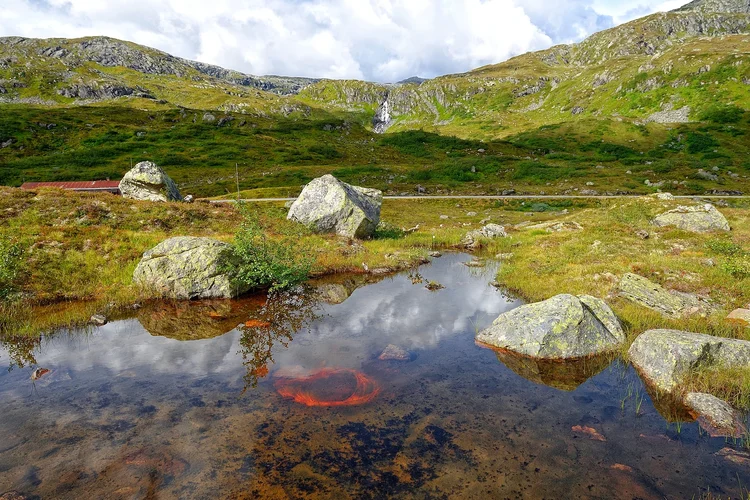 DSC_1882.webp DSC_1882.webp