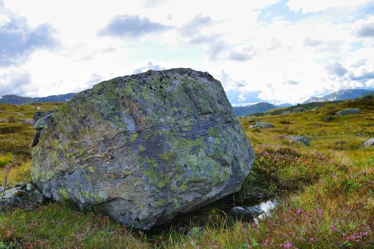 DSC_1883.webp DSC_1883.webp