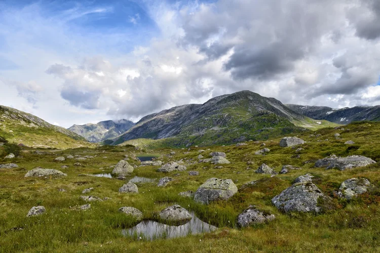 DSC_1886.webp DSC_1886.webp