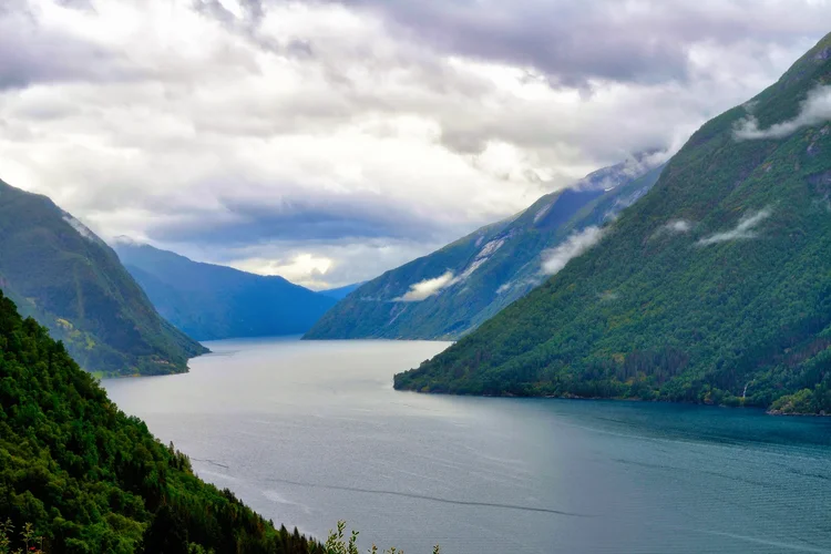 DSC_1915.webp DSC_1915.webp