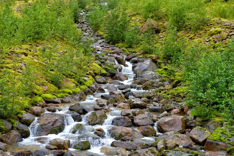 DSC_1929.webp DSC_1929.webp