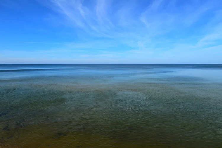 DSC_1959_00001.webp DSC_1959_00001.webp