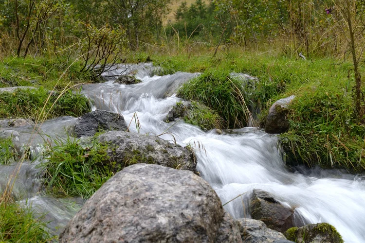 DSC_2026 orig.webp DSC_2026 orig.webp