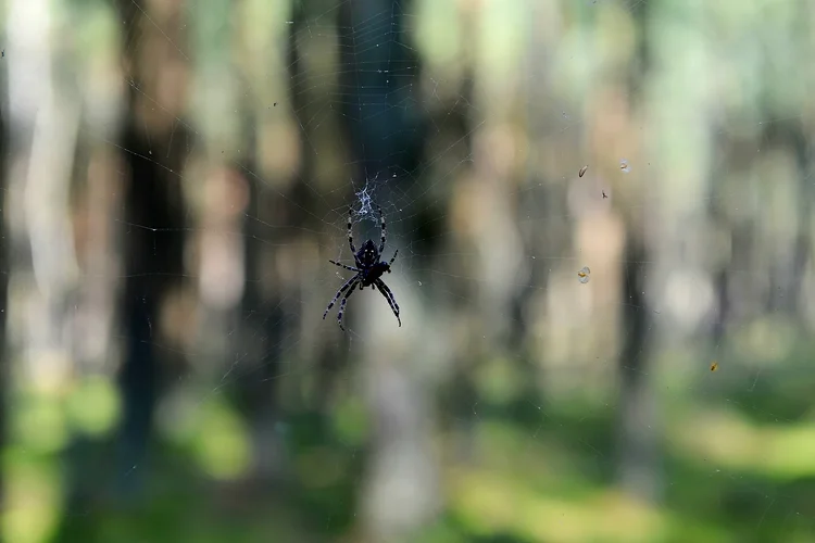 DSC_2078_00001.webp DSC_2078_00001.webp