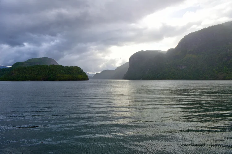 DSC_2084.webp DSC_2084.webp