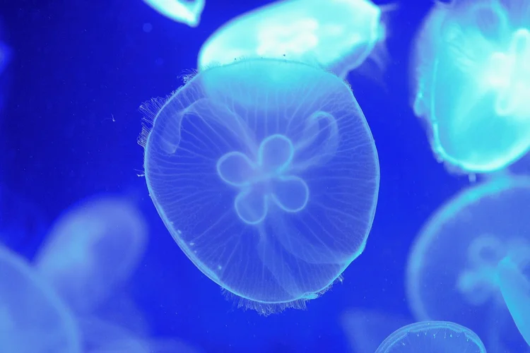 DSC_2312.webp DSC_2312.webp