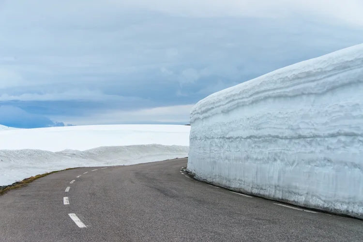 DSC_7119-2.jpg DSC_7119-2.jpg