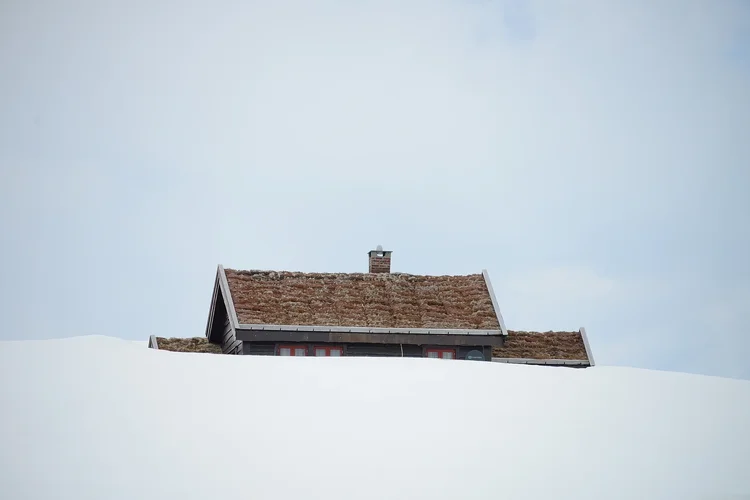 DSC_7142.jpg DSC_7142.jpg