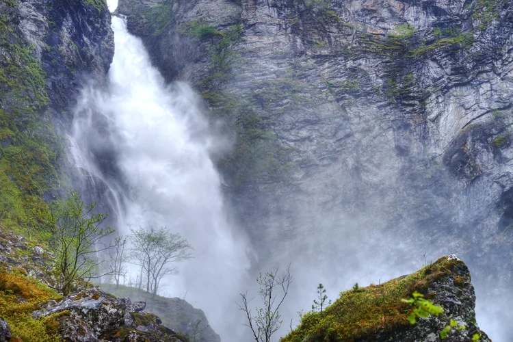 DSC_7114.jpg DSC_7114.jpg