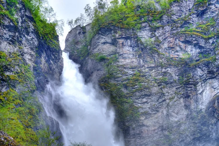 DSC_7113 -1.jpg DSC_7113 -1.jpg