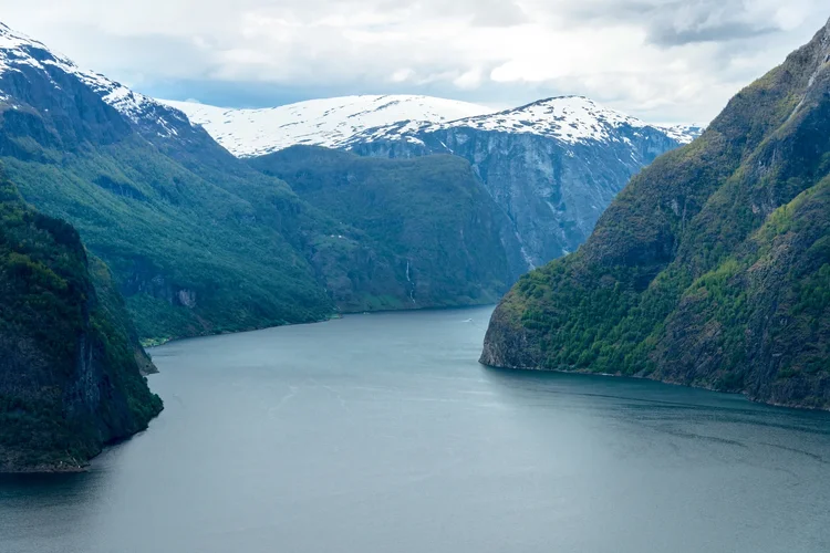 DSC_7013.jpg DSC_7013.jpg