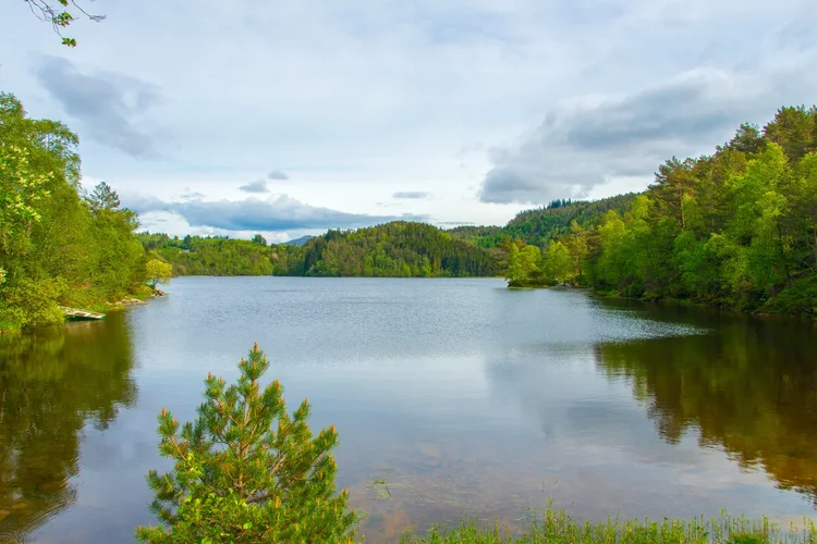 DSC_7224.jpg DSC_7224.jpg