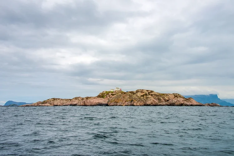 DSC_7322.jpg DSC_7322.jpg