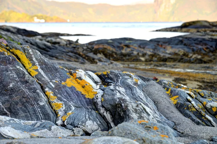 DSC_7406 1_-1_fused.jpg DSC_7406 1_-1_fused.jpg