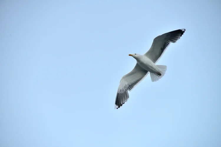 DSC_7416.jpg DSC_7416.jpg