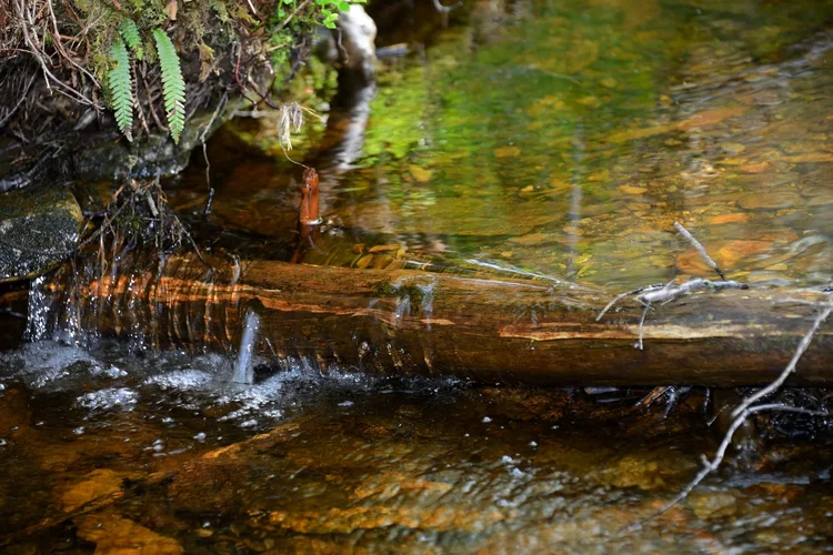 DSC_7238.jpg DSC_7238.jpg