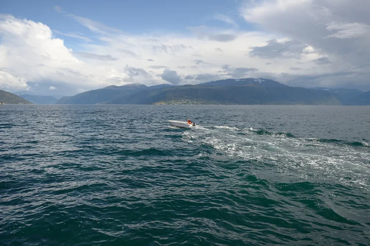 DSC_2200.jpg DSC_2200.jpg