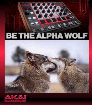 Alpha Wolf.jpg