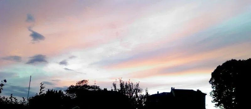 170723_2127-1_800x350.webp 170723_2127-1_800x350.webp