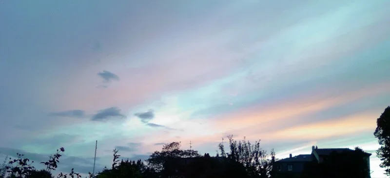 170723_2127-3_800x365.webp 170723_2127-3_800x365.webp