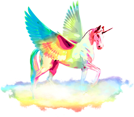 111570182_137864509_einhorn rainbow regenbogen.png