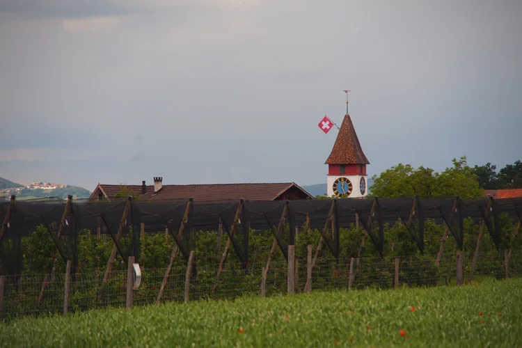 Carl Zeiss Jena Vario-Prakticar 80-200mm f4 - Opfiturm.webp