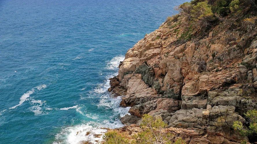 _DSC1649_ 1_ -1_ -2_tonemapped.webp