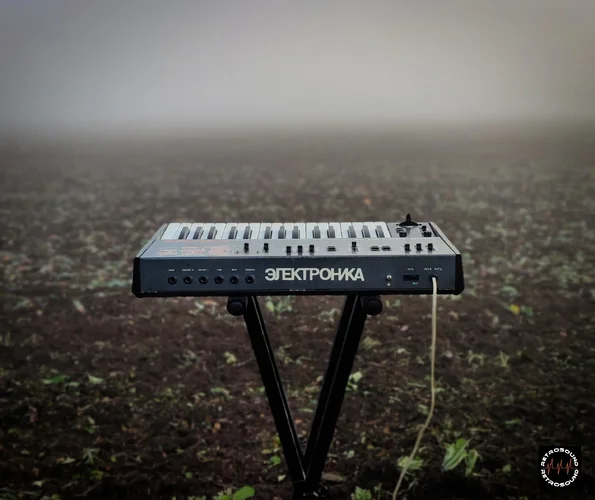 IMG_20210903_070436 (1)-01.jpeg