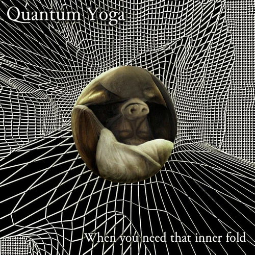 quantum_yoga.webp