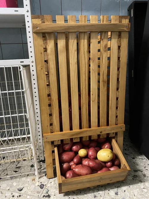 IMG_1163.jpg IMG_1163.jpg