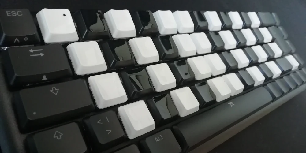 IMG_20221005_144424_.webp IMG_20221005_144424_.webp