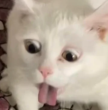 Bildschirmfoto 2022-10-08 um 01.04.44.webp