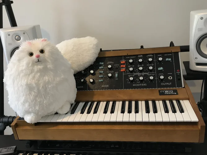 C8B58BAC-02F1-4EFE-A783-ED83F3C89D87.webp C8B58BAC-02F1-4EFE-A783-ED83F3C89D87.webp