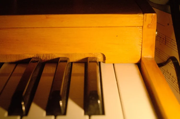 01IMGP4001.jpg 01IMGP4001.jpg