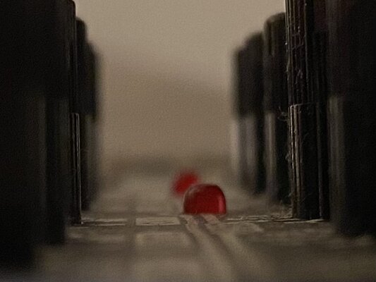 48868E79-00B2-4C77-9FC9-C64C385B4925.jpeg