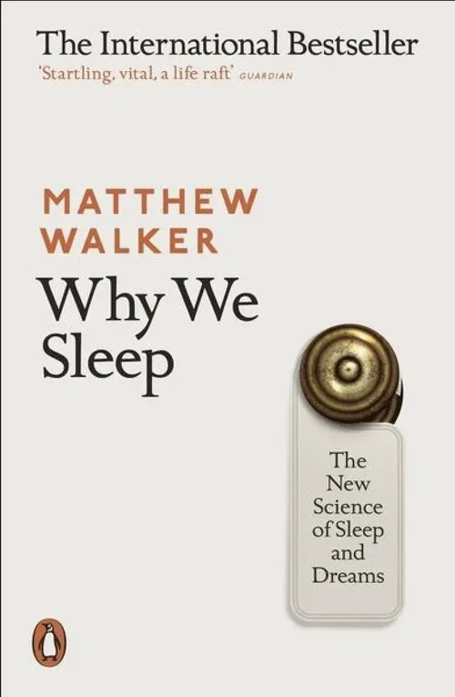 Screenshot 2022-12-29 at 07.06.19.webp