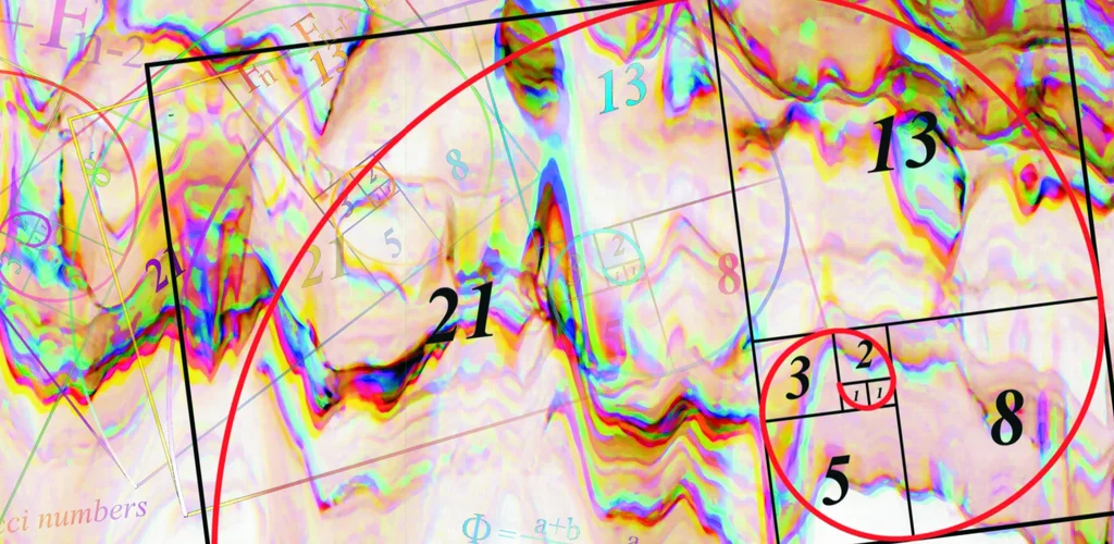 fibonacci.webp fibonacci.webp