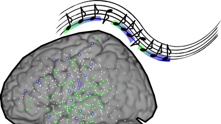 PM_Musik Wiederholung.webp