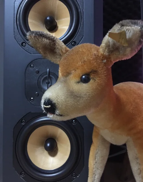 1674486984653.jpeg 1674486984653.jpeg