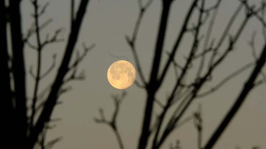 TonKlangLichtermondFeb - 1.webp