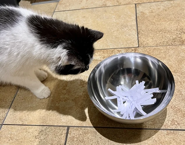 tempImage6GlN73.webp tempImage6GlN73.webp