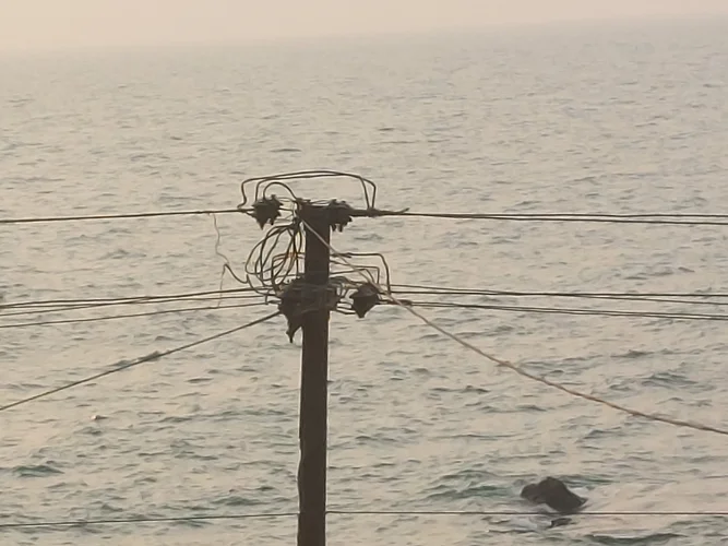 16787100753884322340708544018238.webp 16787100753884322340708544018238.webp