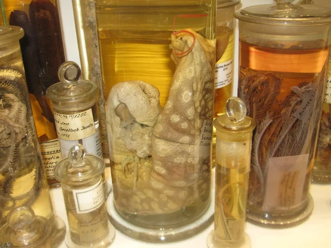 IMG_6095.webp IMG_6095.webp