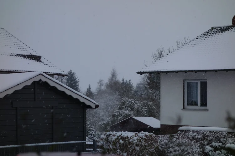 DSC00243.webp DSC00243.webp