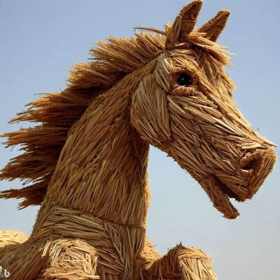 a mustang, made of straw-4.jpg