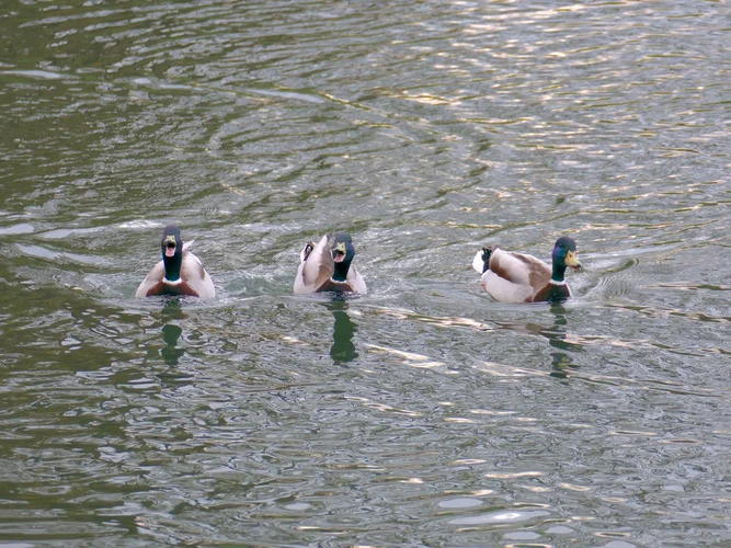 210417_0514_1280x960.webp 210417_0514_1280x960.webp