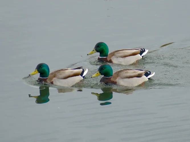 210417_0565_1280x960.webp 210417_0565_1280x960.webp