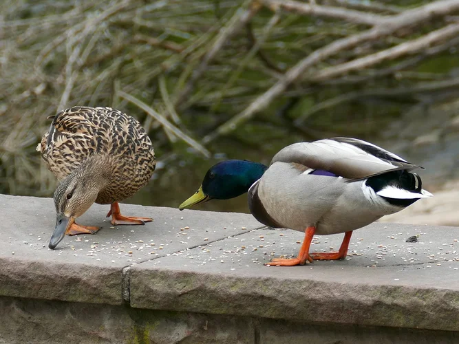 210501_1001_0025_1280x960.webp 210501_1001_0025_1280x960.webp