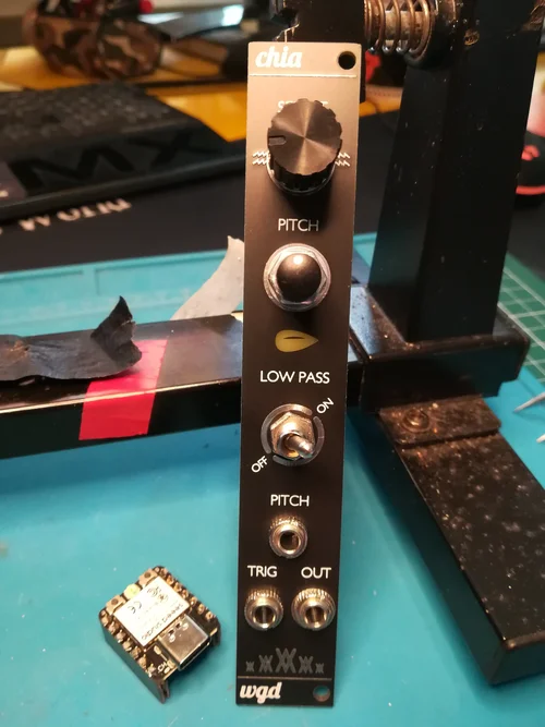 Chia_001.jpg Chia_001.jpg