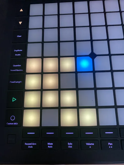 IMG_7336 Kopie 2.jpg IMG_7336 Kopie 2.jpg